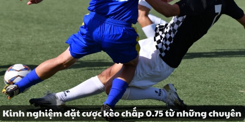 Mẹo đánh rồng hổ - Hướng dẫn từ A đến Z để thành công 11 image 103