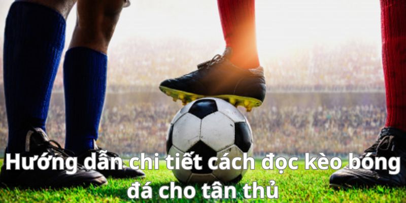 Mẹo đánh rồng hổ - Hướng dẫn từ A đến Z để thành công 10 Hướng dẫn chi tiết cách đọc kèo bóng đá cho tân thủ